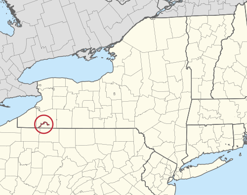 Allegany Reservation